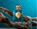 Safiye Perfume by Osmanli Oud – A luxurious unisex fragrance with floral, spicy, and musky notes.
